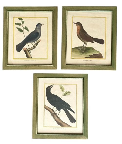 Lithographs of Birds, Hand Painted, 19th Century